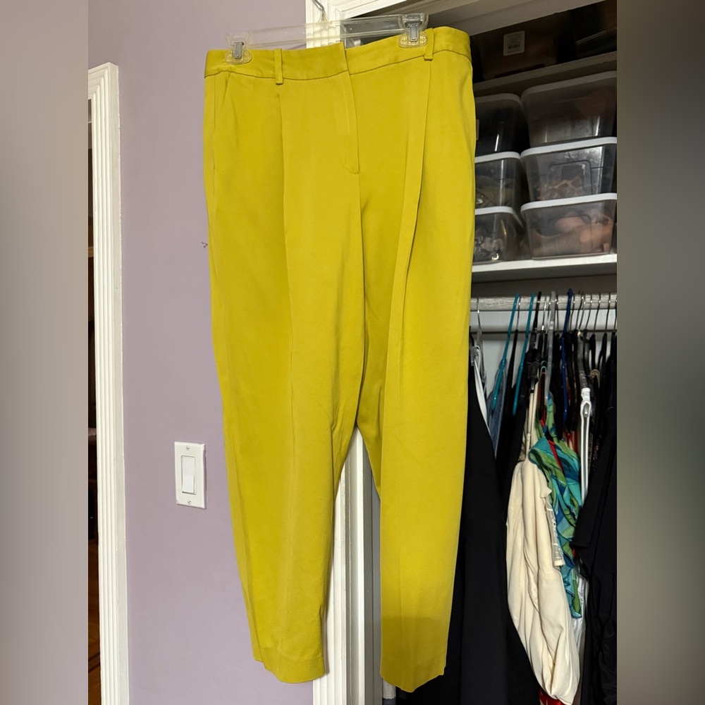 Massimo Dutti Chartreuse High-waisted Pleated Trousers